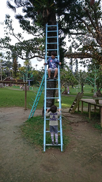 16���E����A���y���̒ނ�x�I